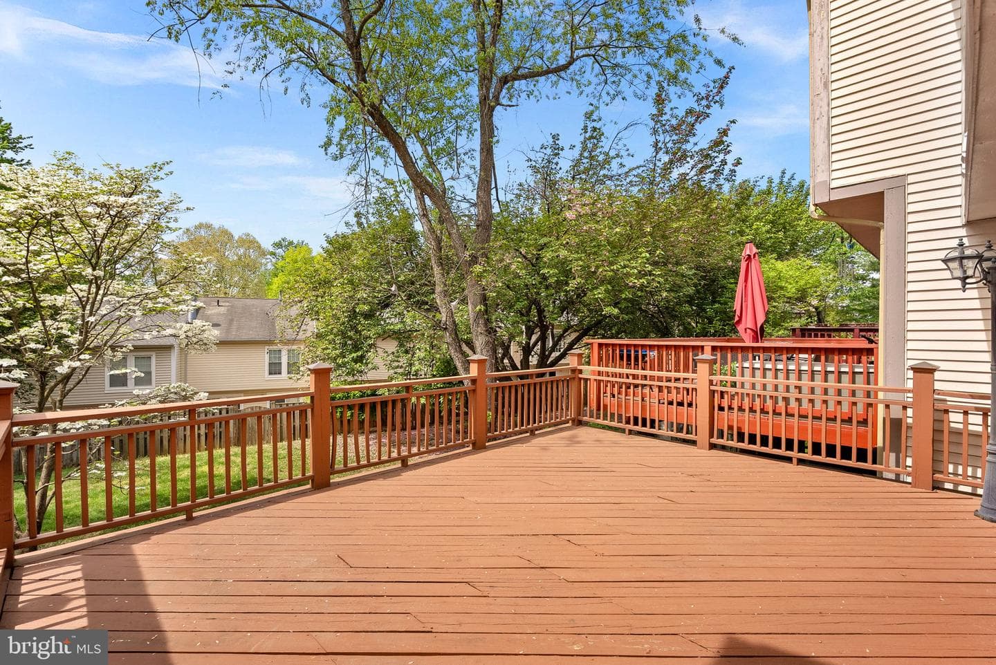 12541 Alder Woods Drive photo 22