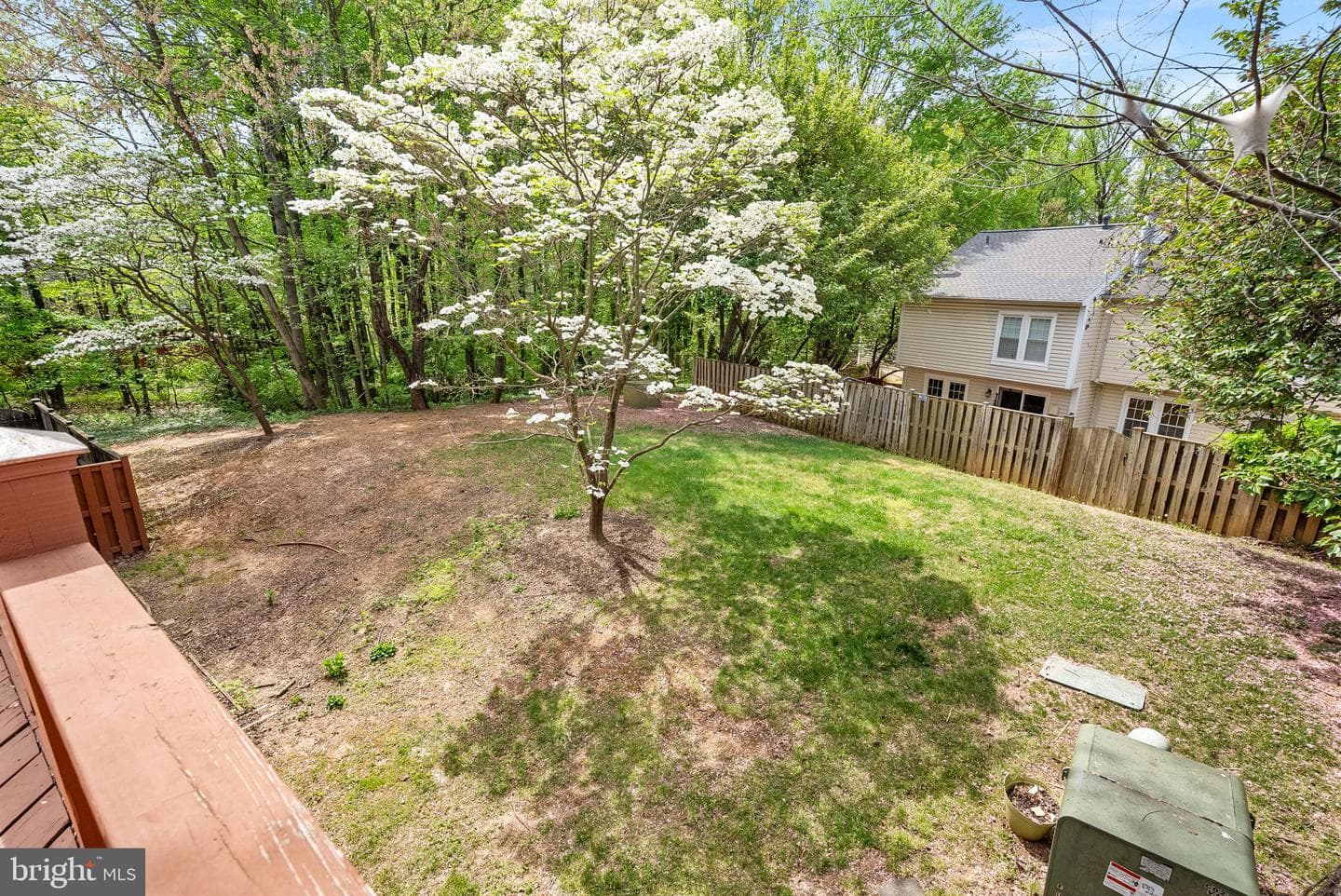 12541 Alder Woods Drive photo 25