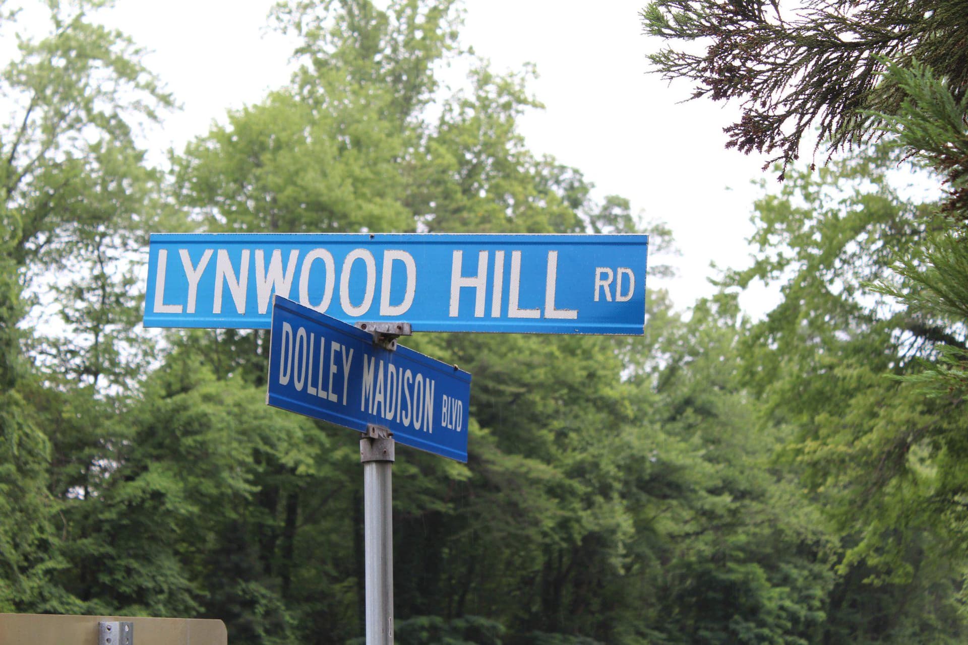 6367 Lynwood Hill Road photo 5