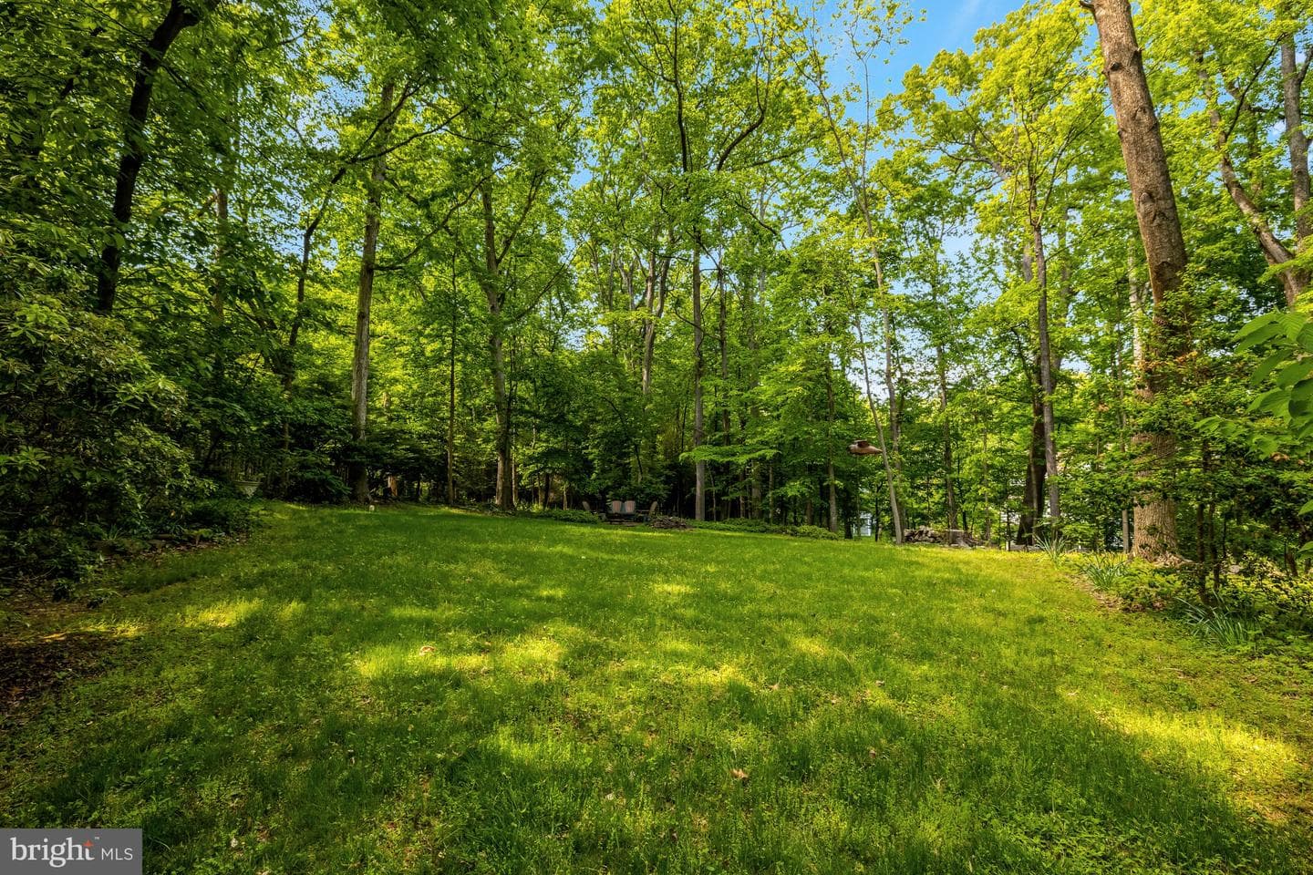 11698 Fox Glen Drive photo 72