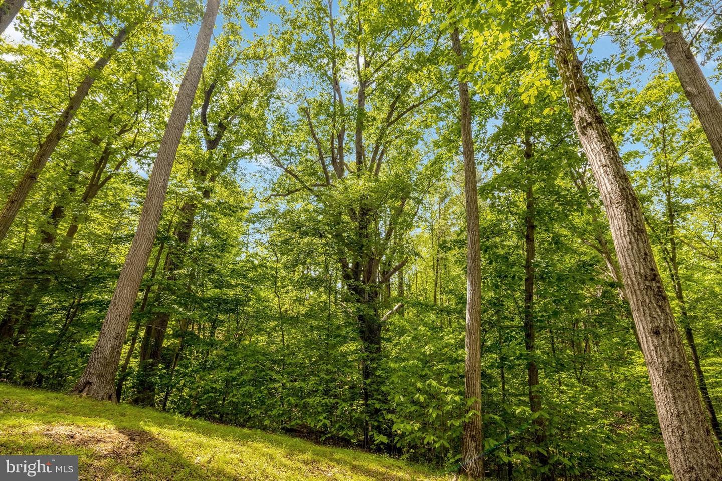 105 Interpromontory Road photo 72
