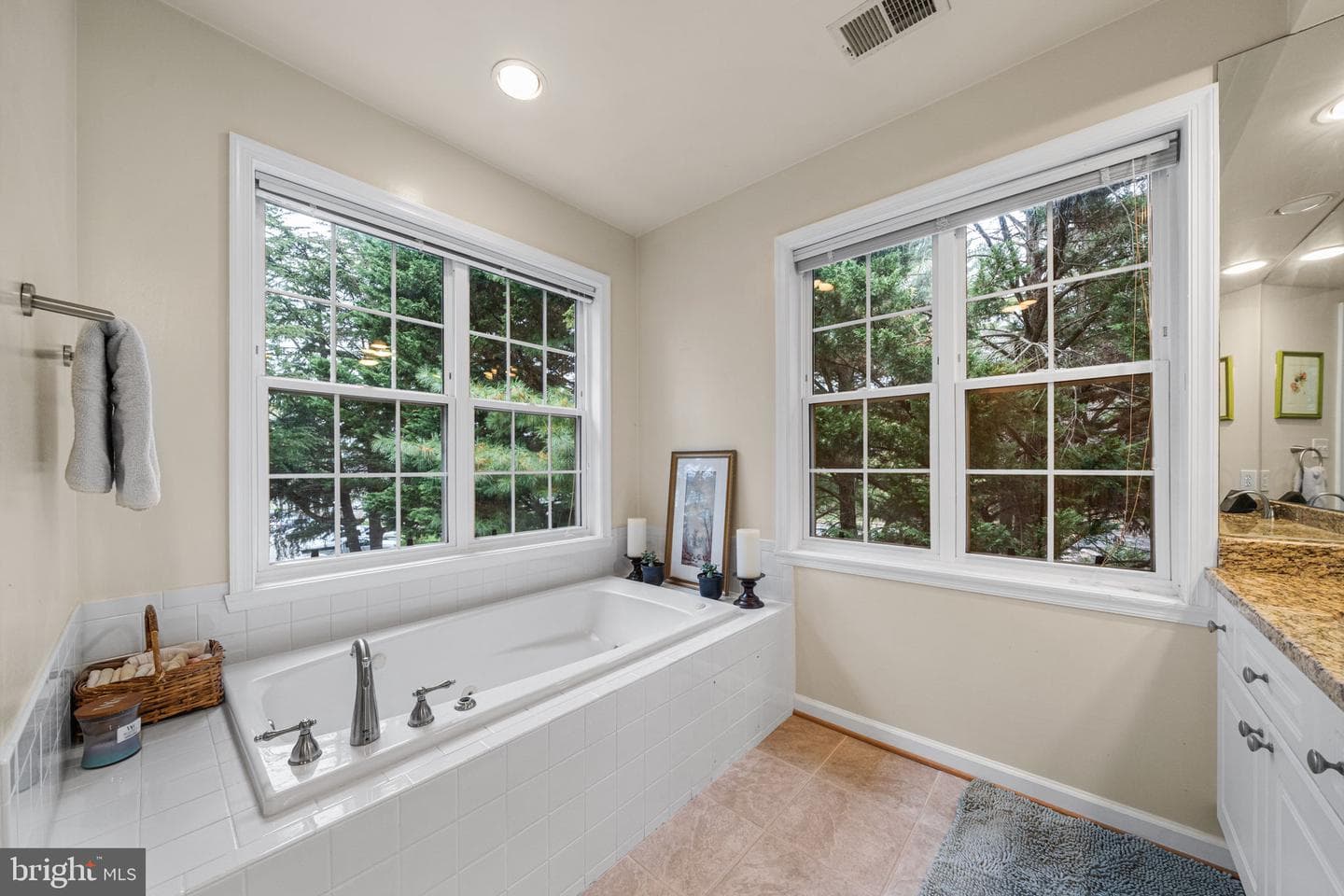 2784 Devonshire Garden Court photo 28