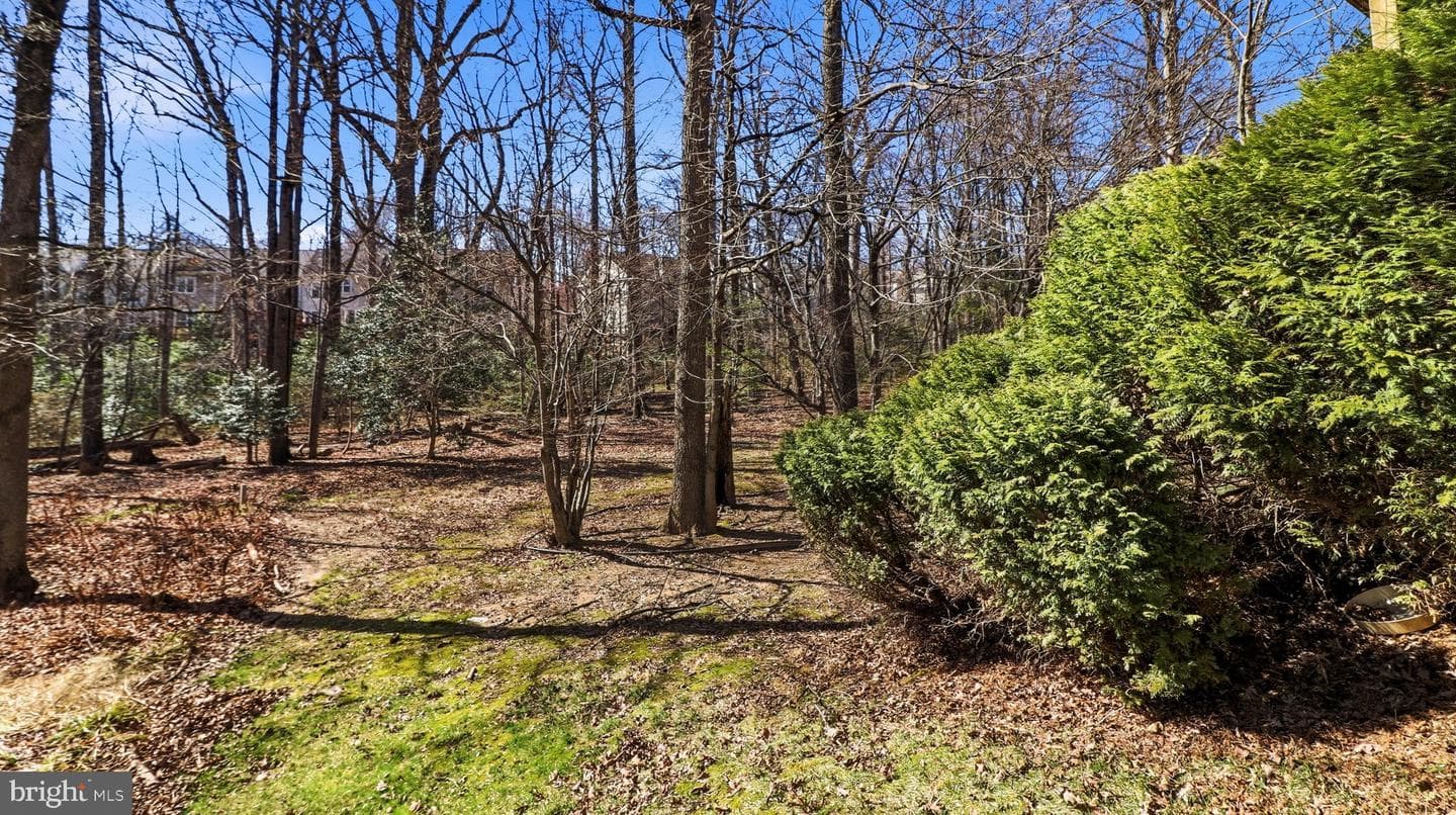 11417 Night Star Way photo 31