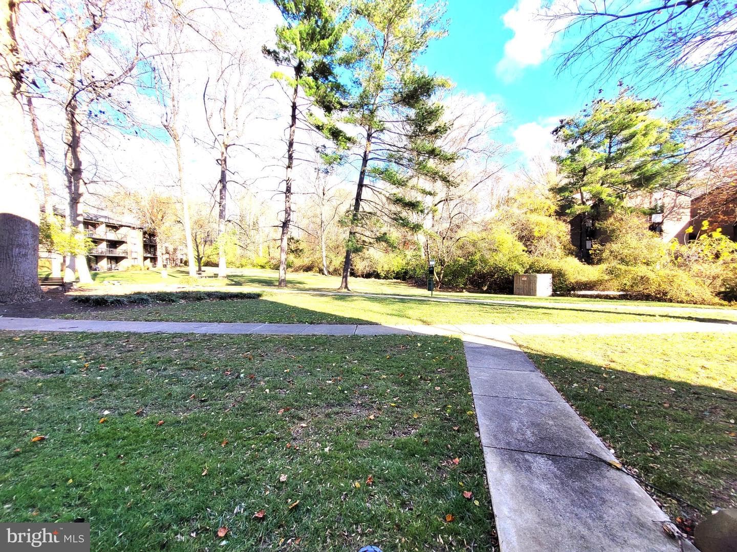 9800 Kingsbridge Drive #2 photo 45