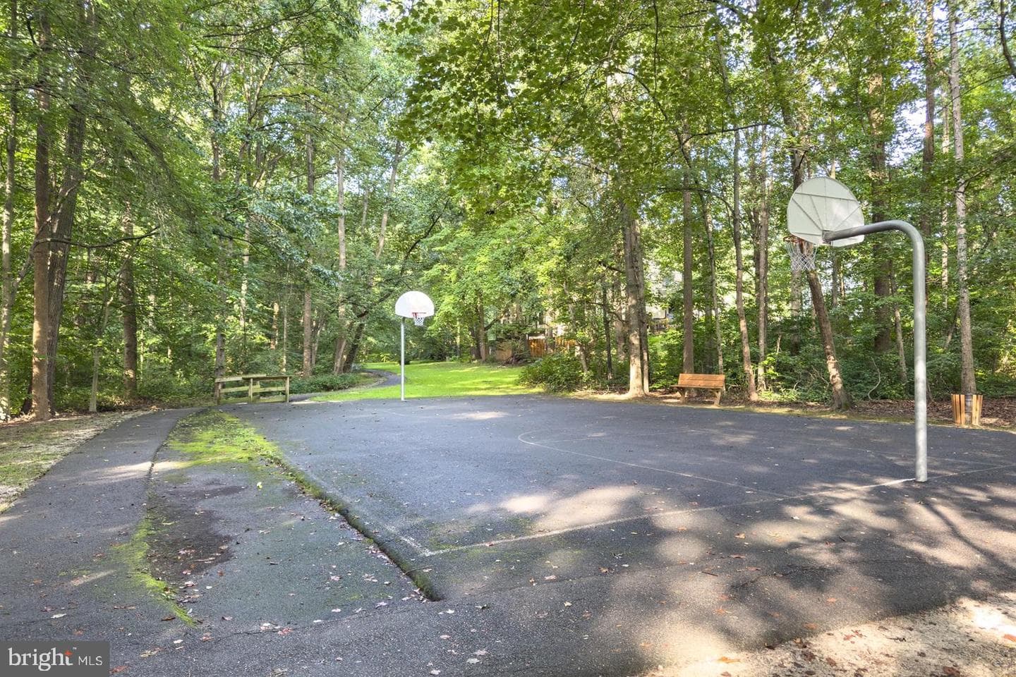 10727 Shingle Oak Court photo 46