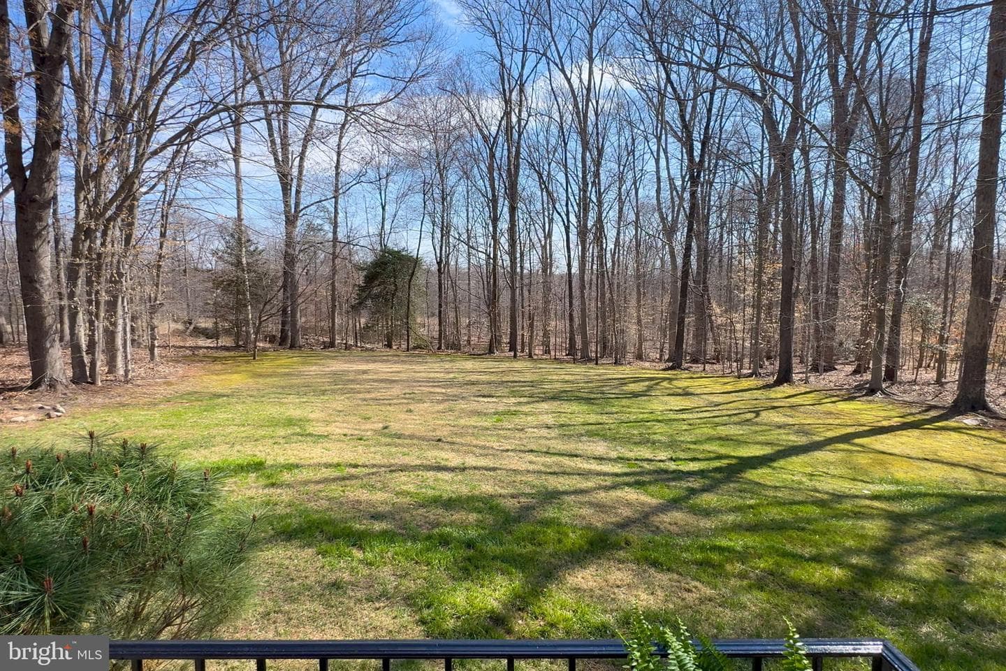7427 Maple Branch Road photo 93