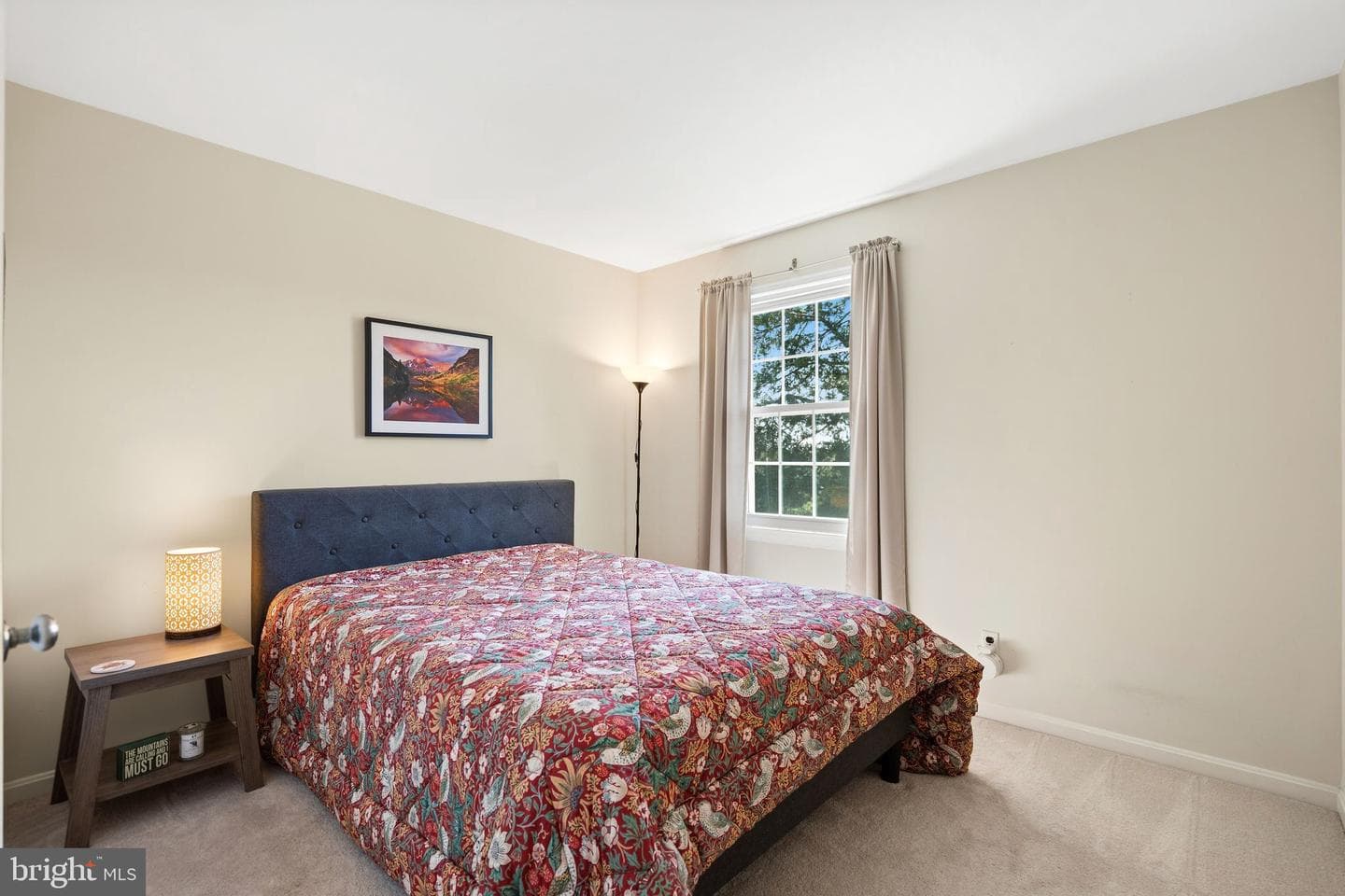 10447 Red Granite Terrace photo 14