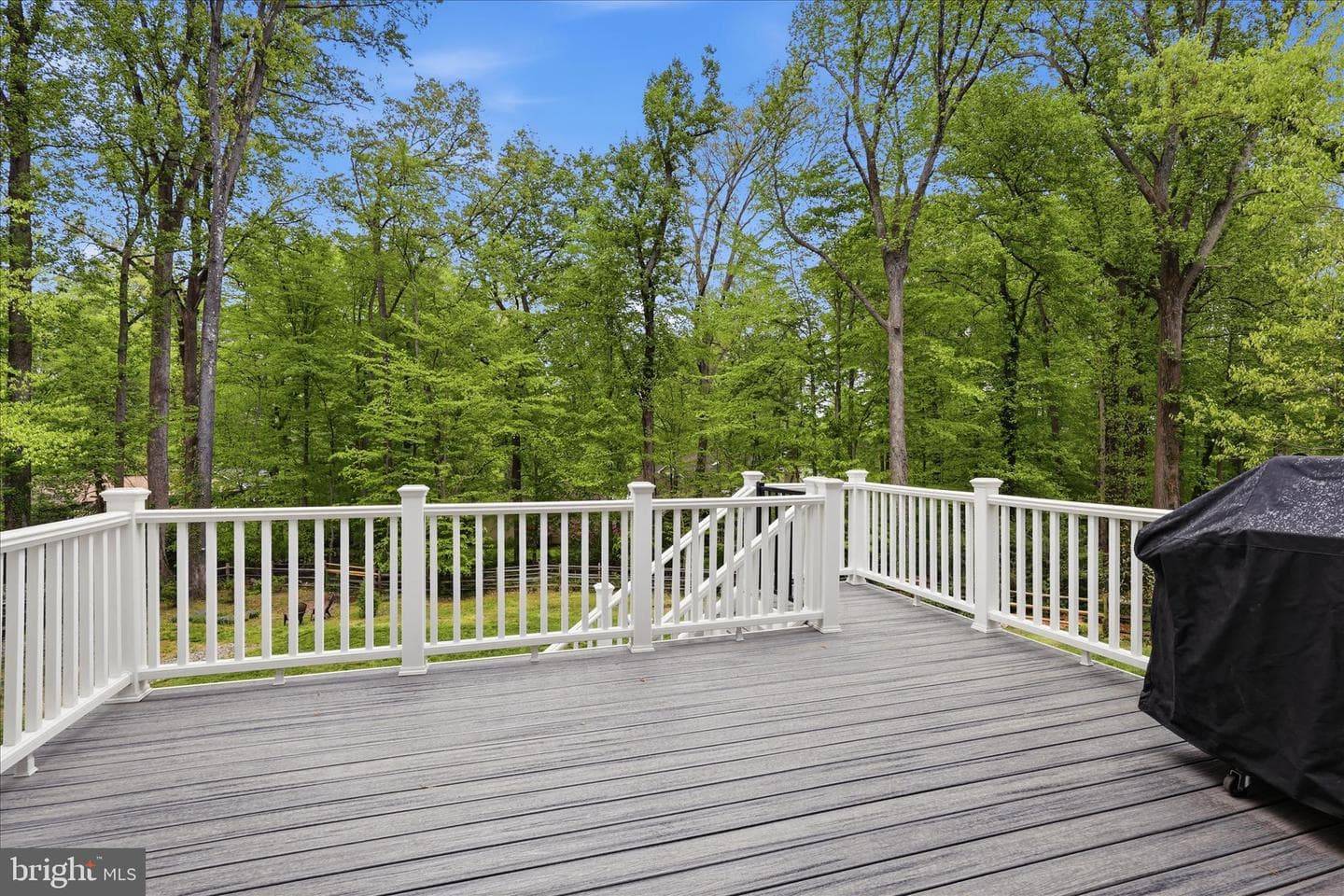 3407 Barkley Drive photo 18