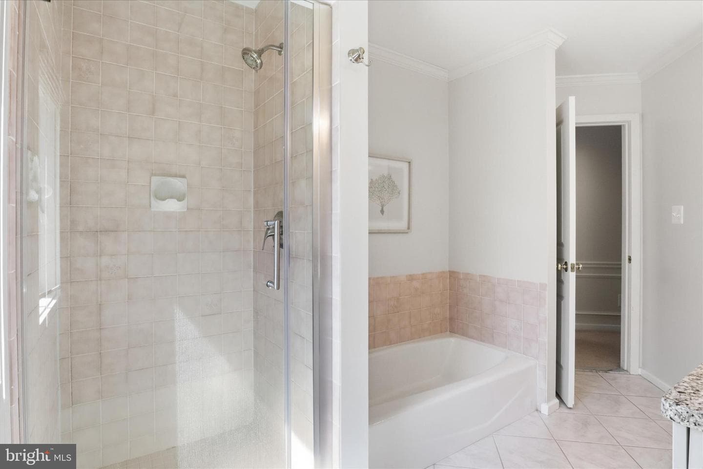 12709 Mill Glen Court photo 43