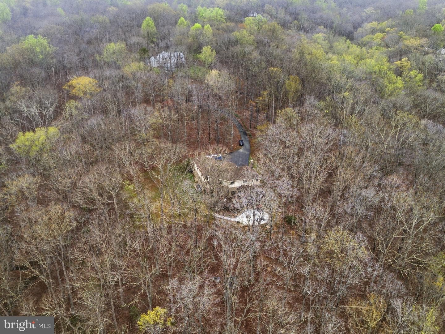 12709 Mill Glen Court photo 5
