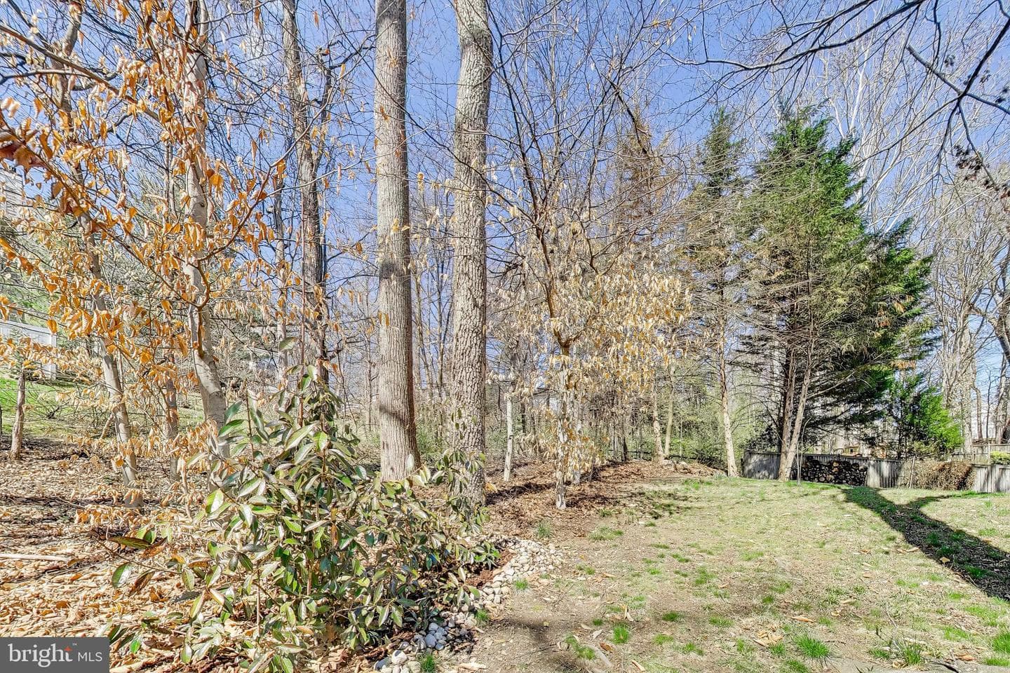 8404 Chillum Court photo 55