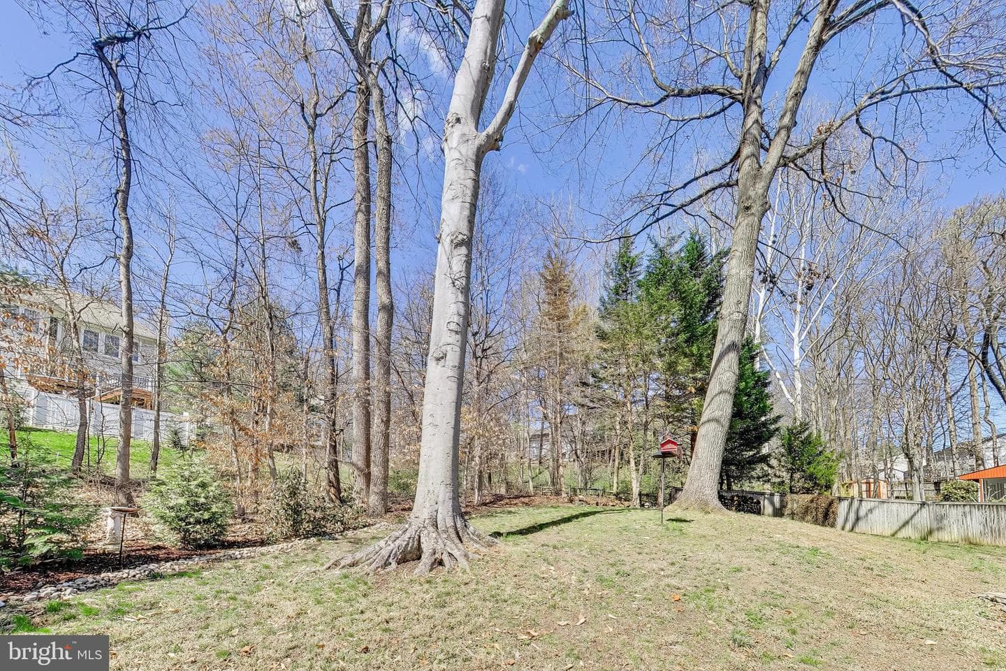 8404 Chillum Court photo 56
