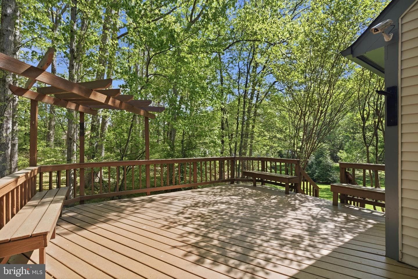 9701 Tree Hollow Court photo 18