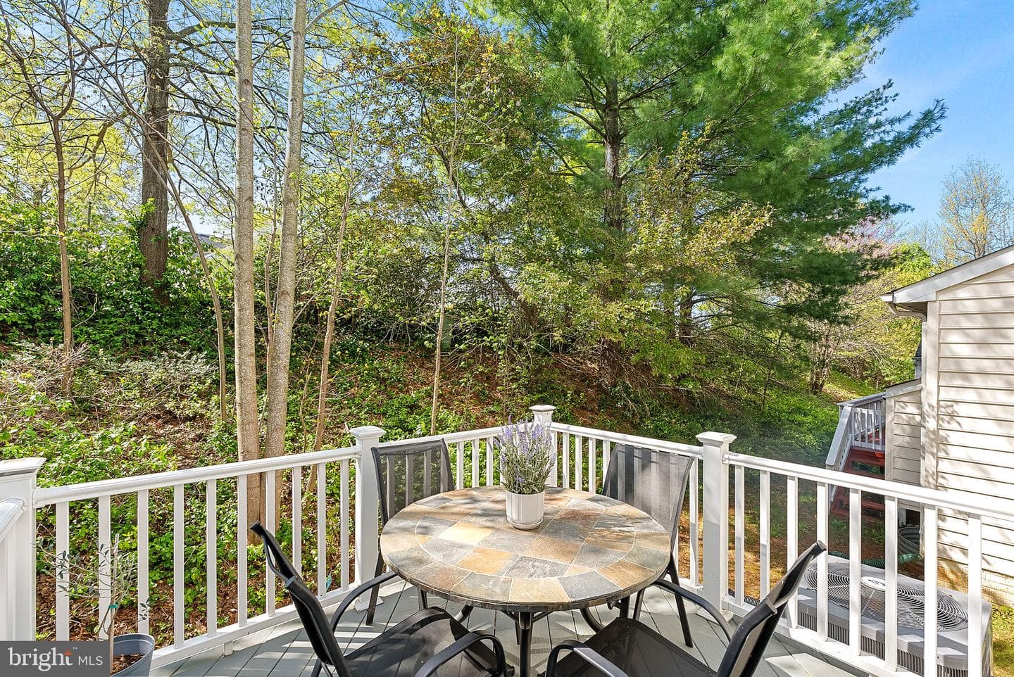 7677 Henry Knox Drive photo 37