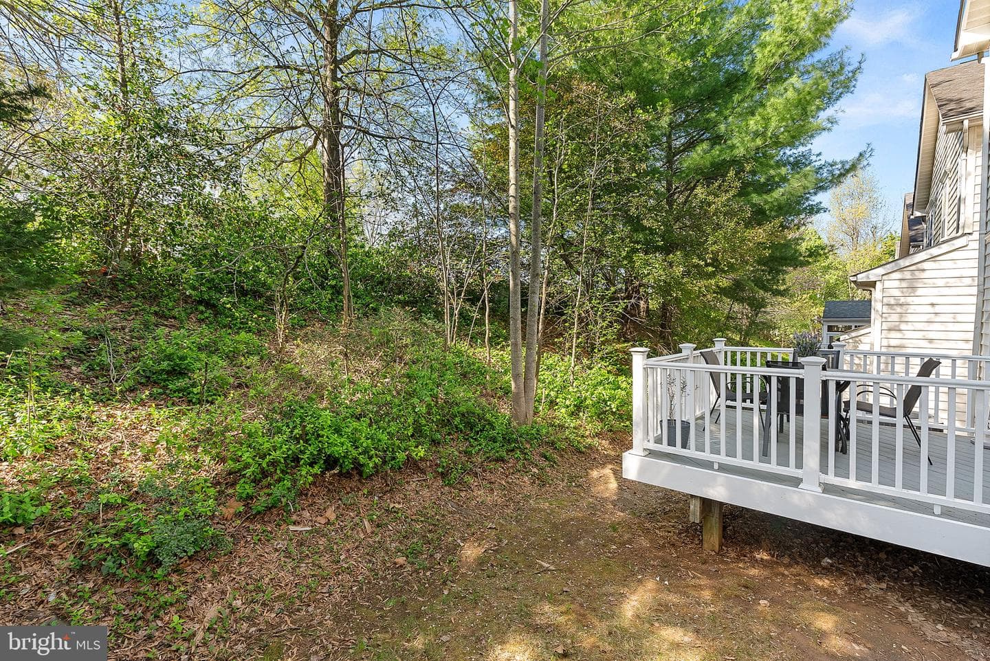 7677 Henry Knox Drive photo 44
