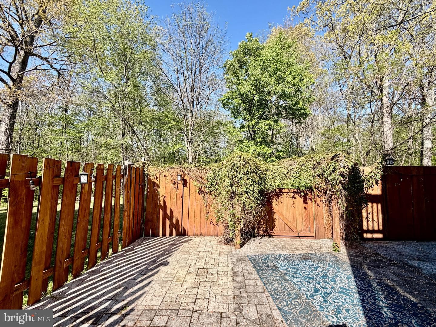 14546 Creek Branch Court photo 27