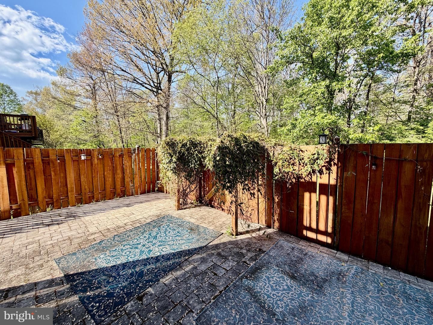 14546 Creek Branch Court photo 28