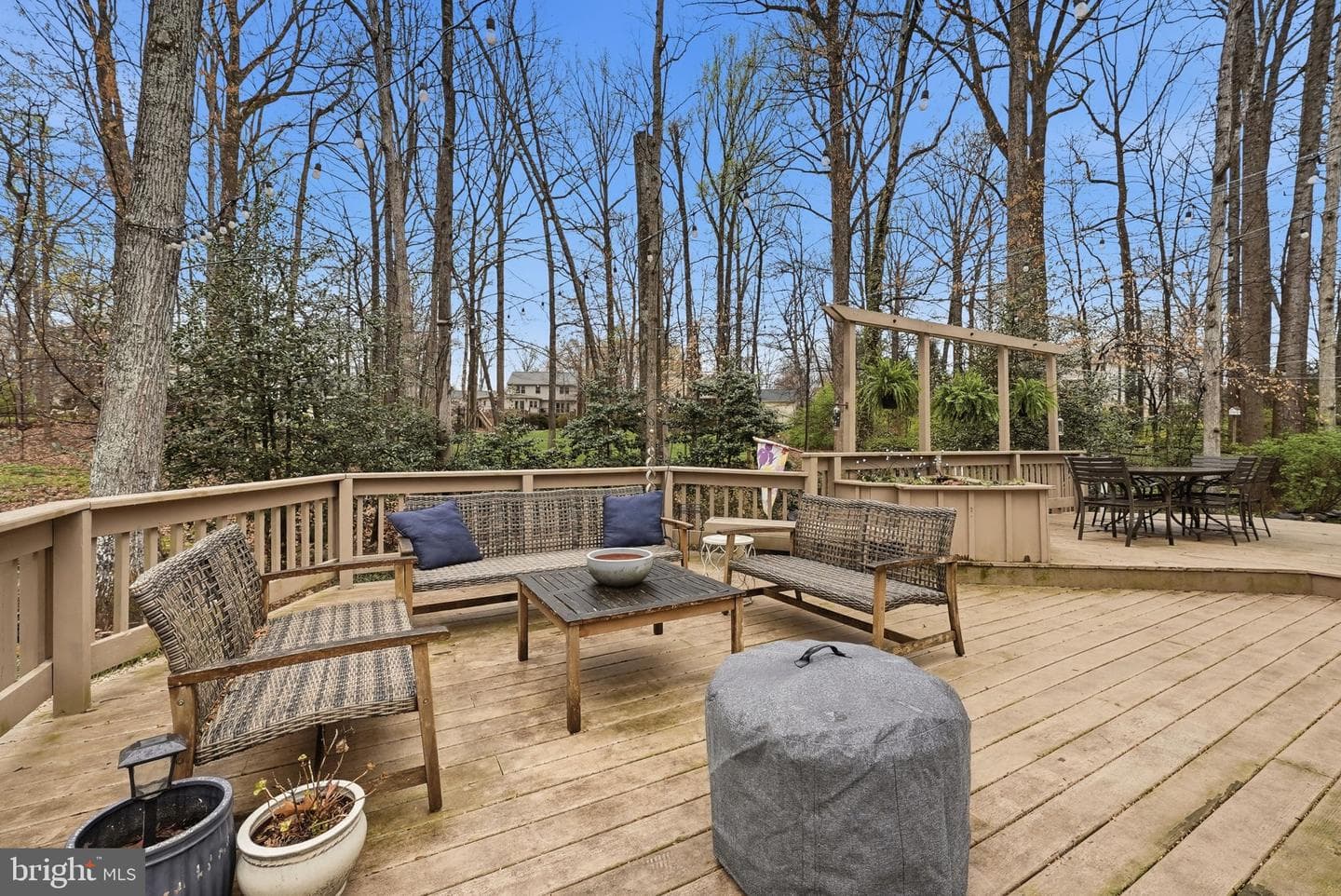 11123 Clara Barton Drive photo 43