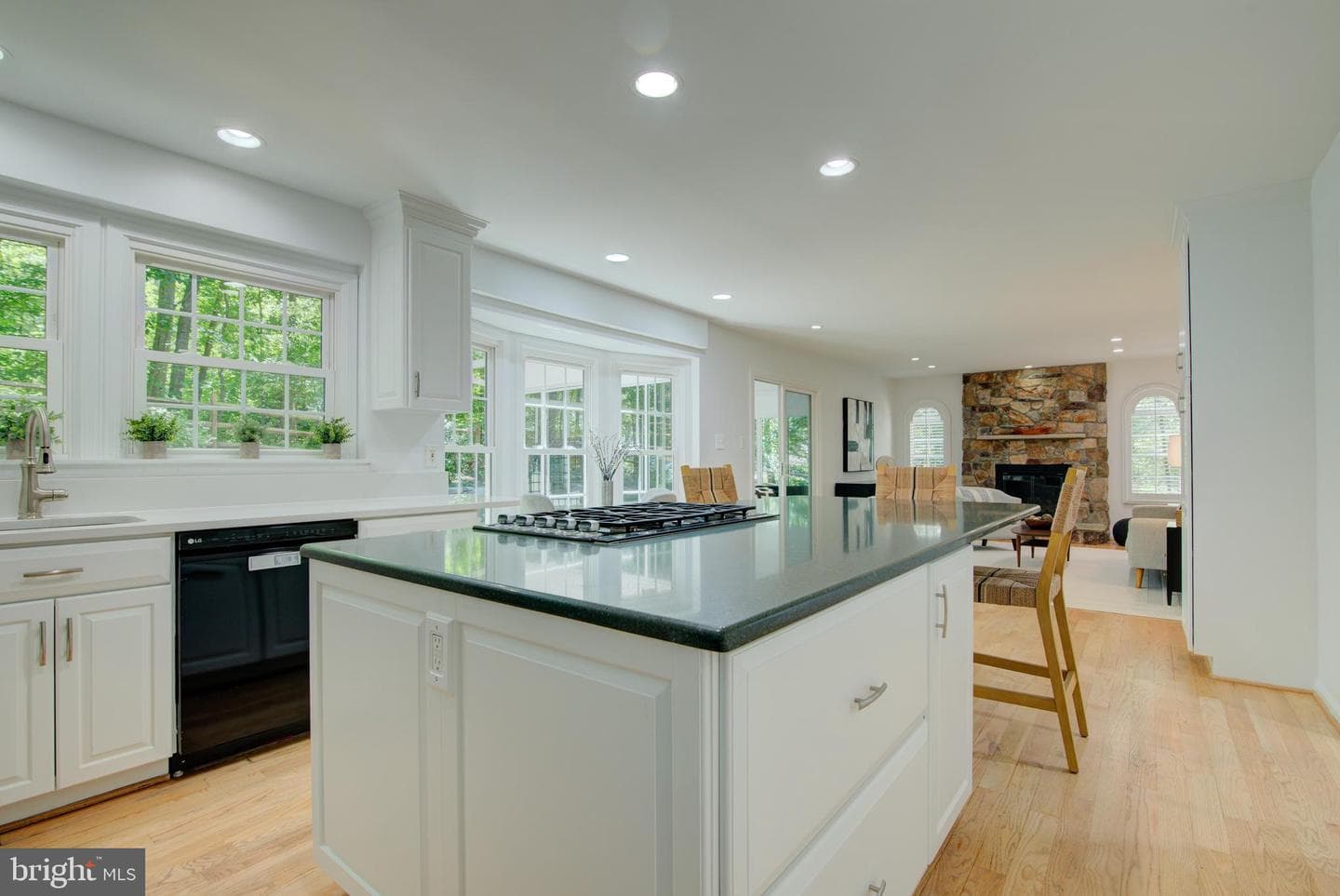 12029 Lake Newport Road photo 8