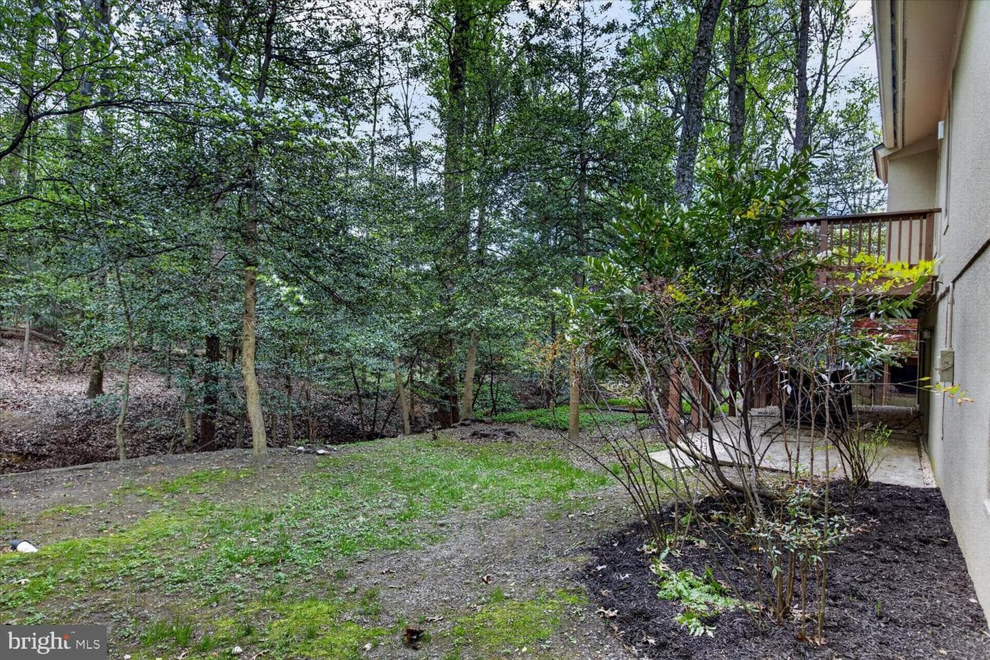 2105 Lirio Court photo 65