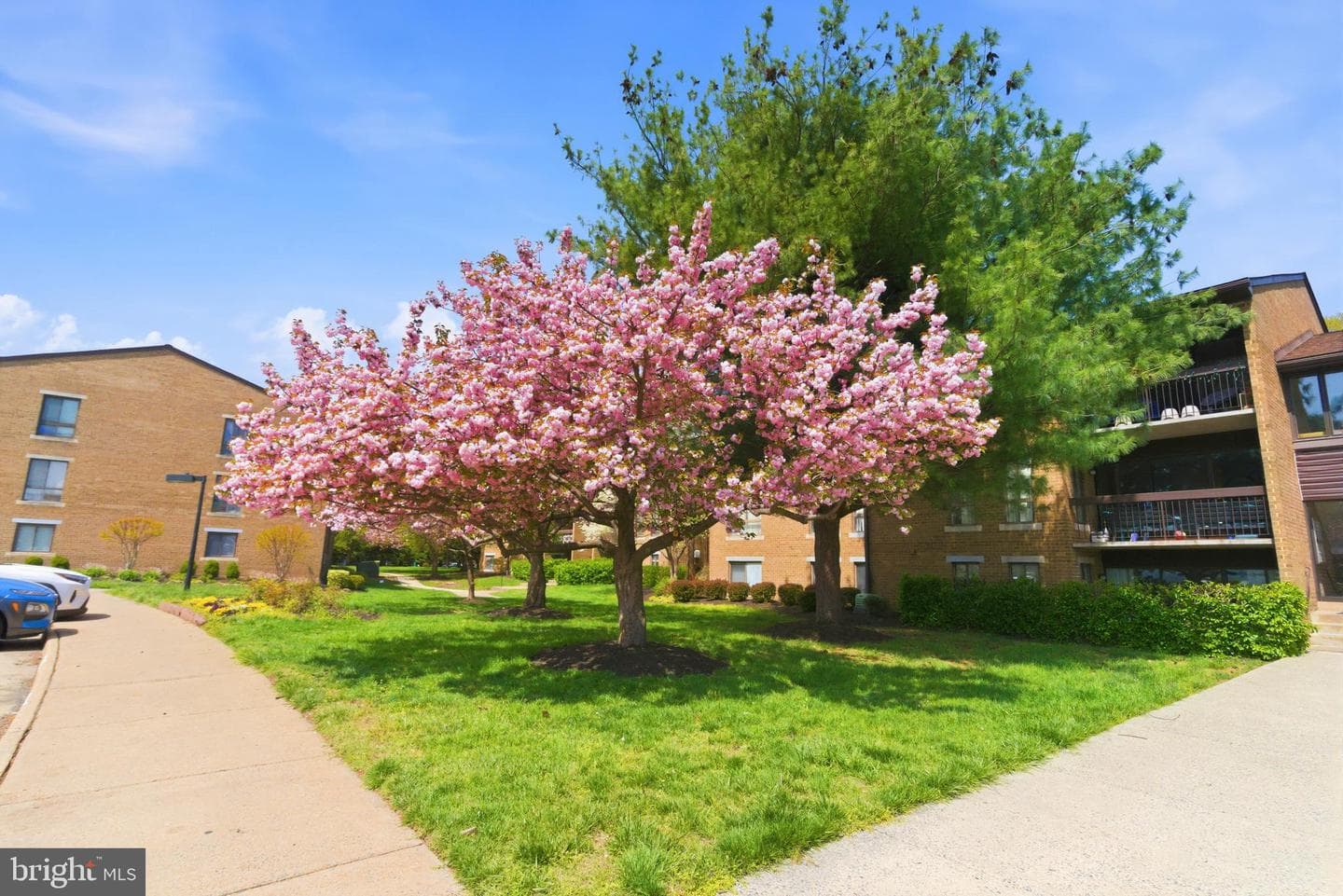 561 Florida Avenue #204 photo 27