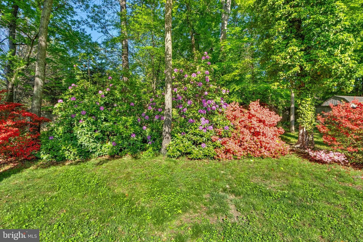 4306 Argonne Drive photo 69