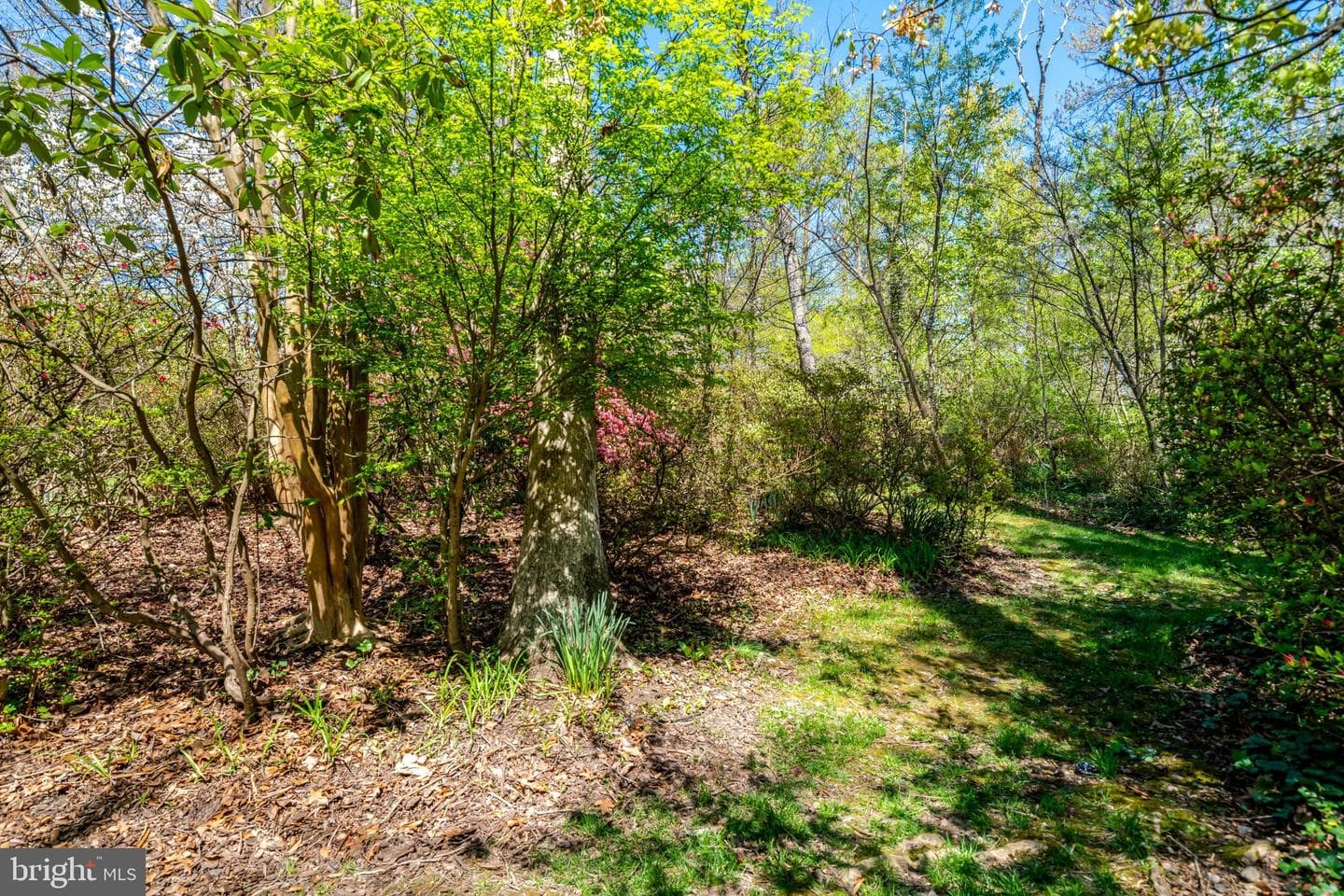 4221 Oak Hill Drive photo 52