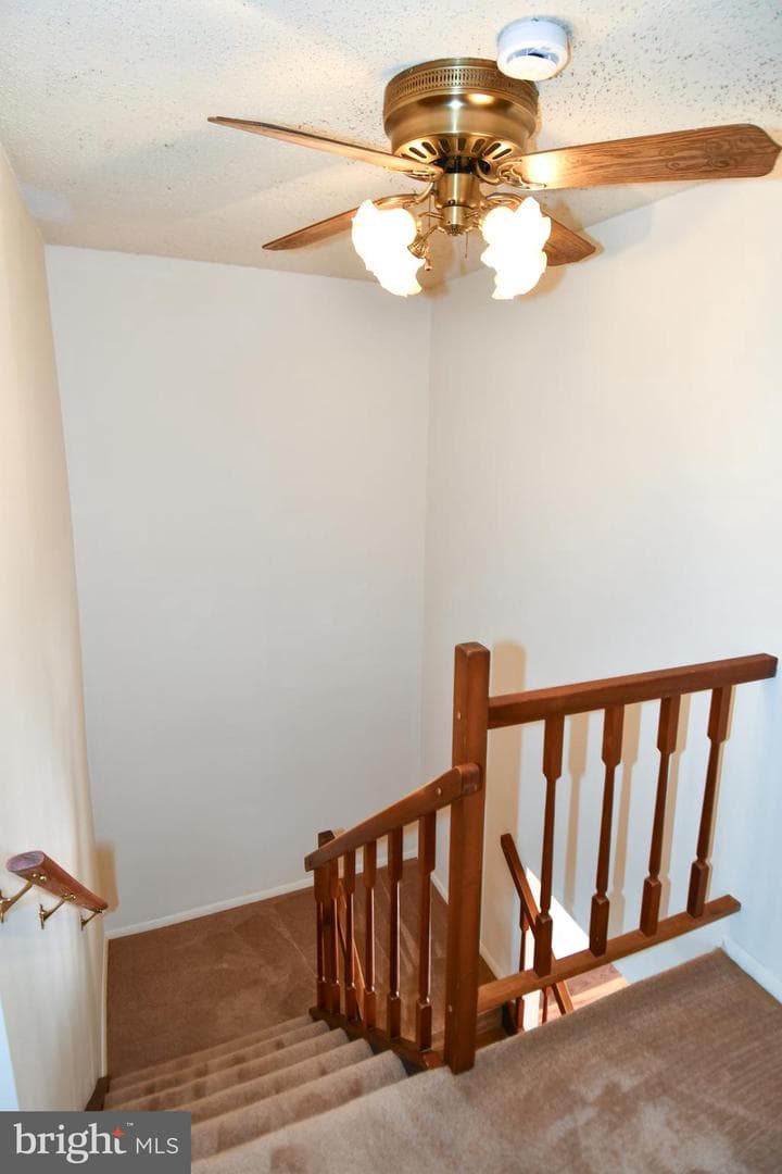 9803 Tara Court photo 33