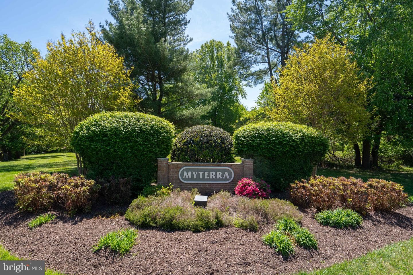 12305 Myterra Way photo 28