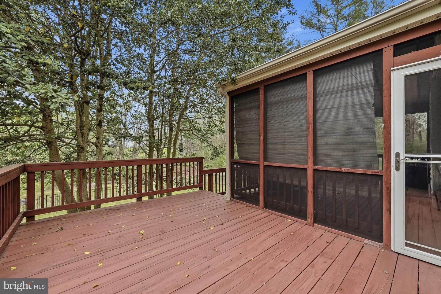 9800 Kohoutek Court photo 34