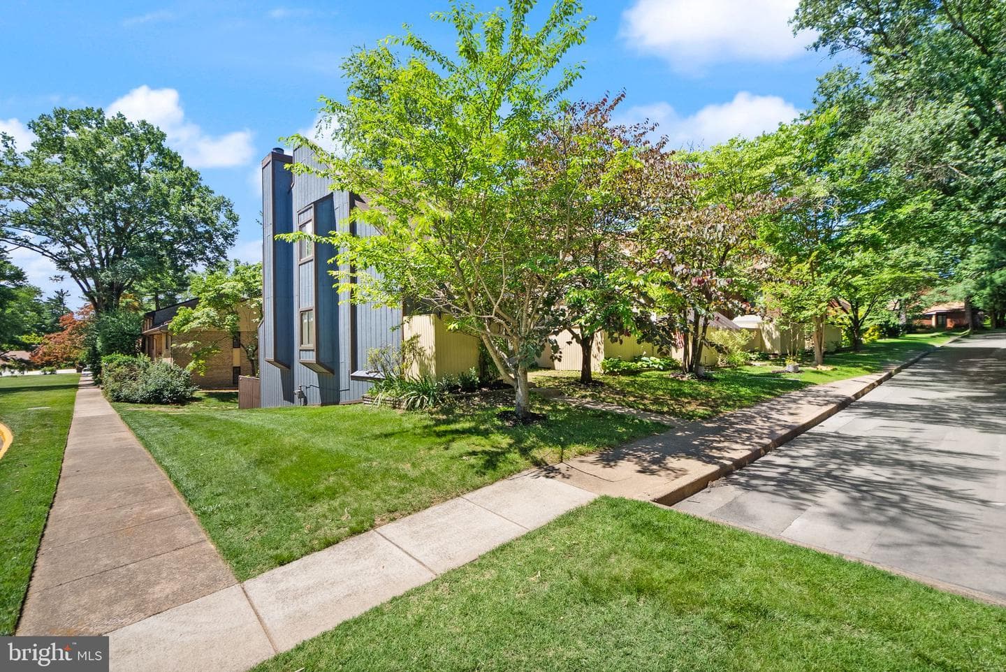 11100 Saffold Way photo 4