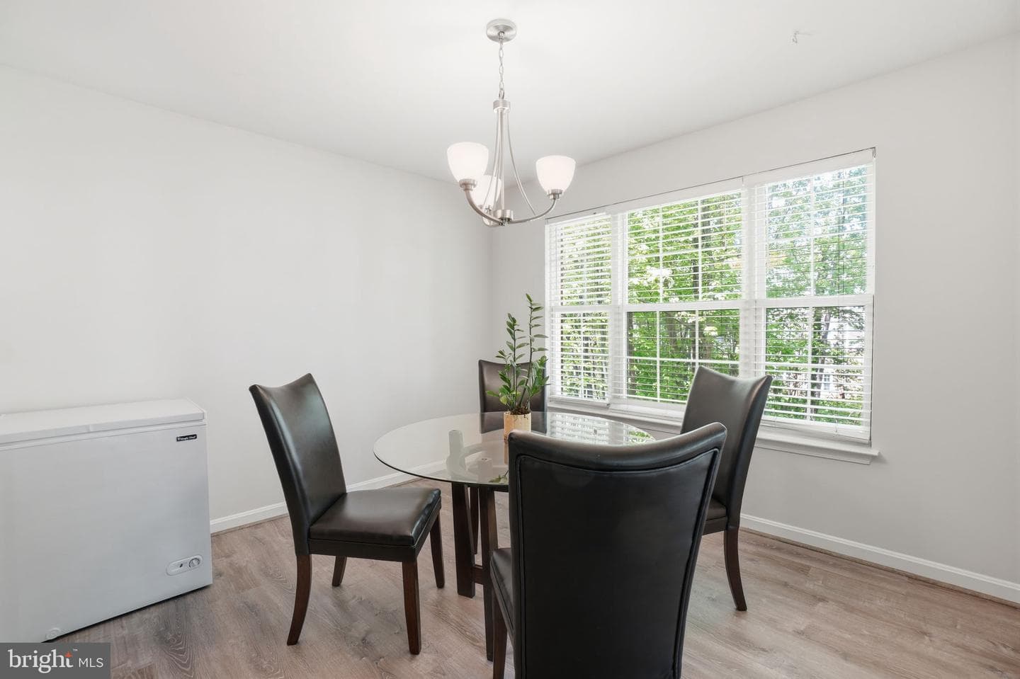 4116 Monument Court #204 photo 12