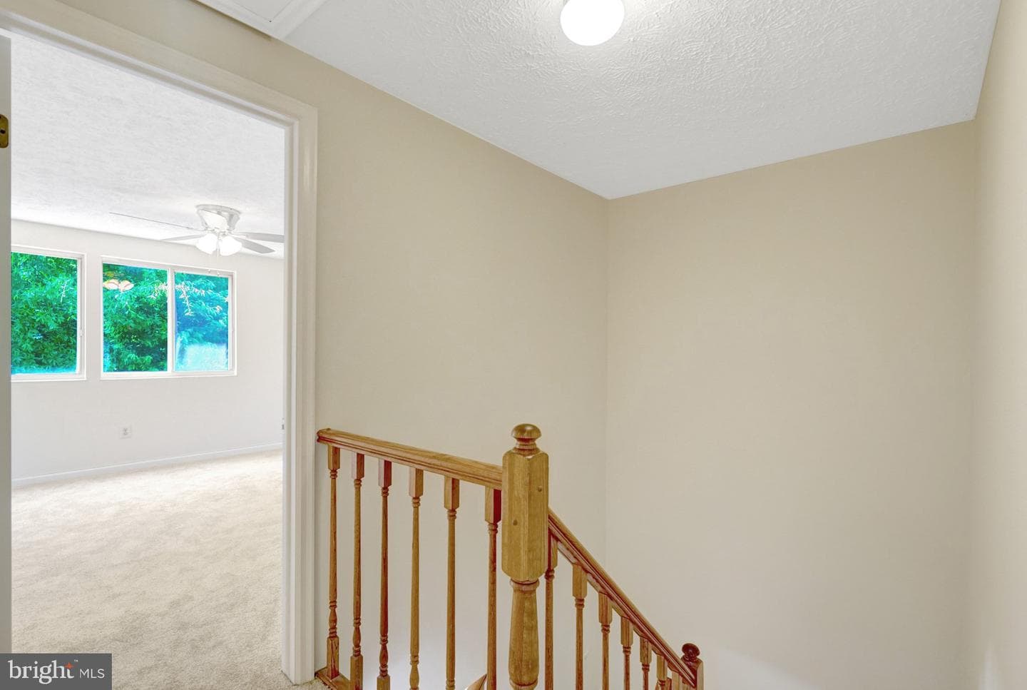 9227 Sheffield Hunt Court photo 24