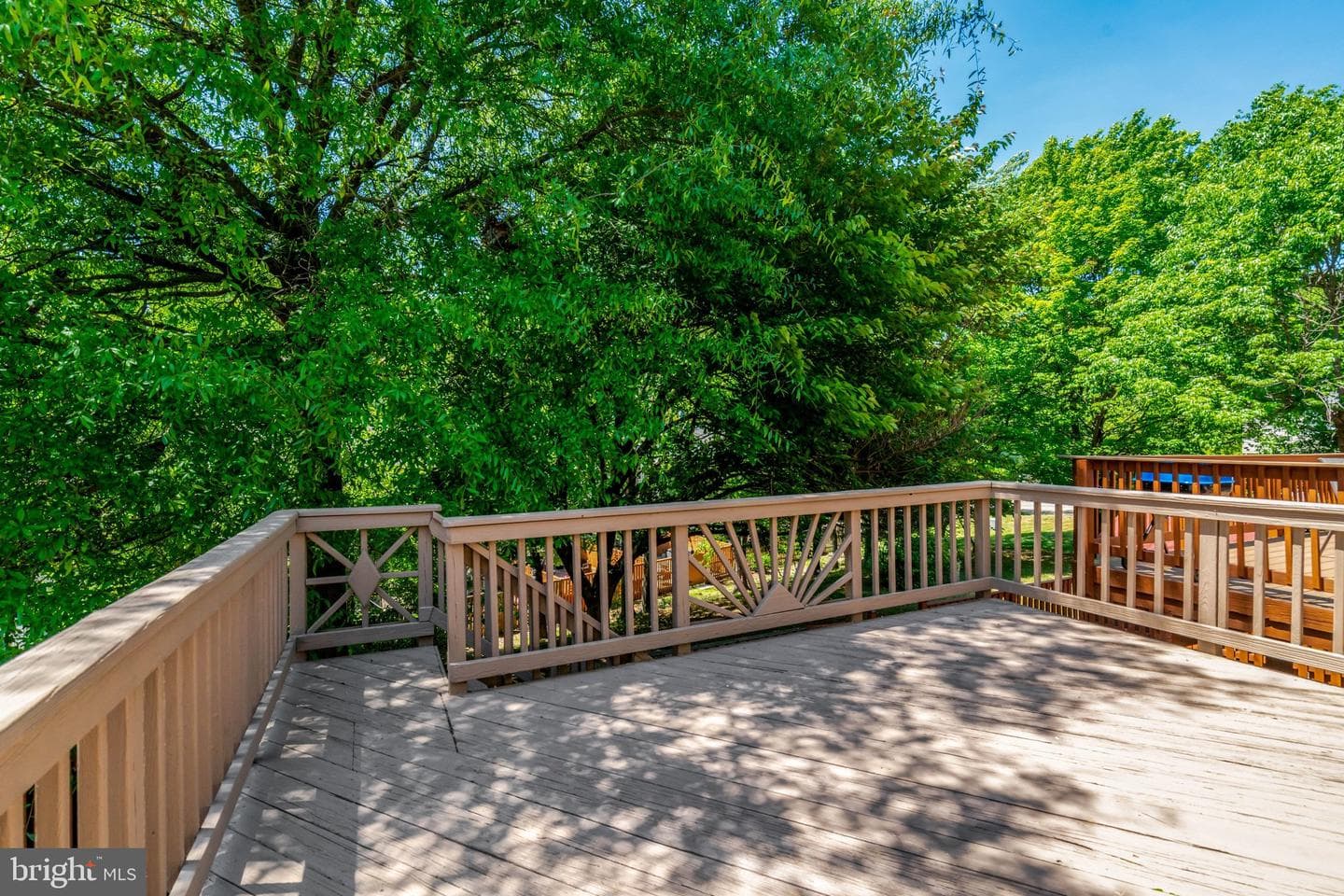 9227 Sheffield Hunt Court photo 53