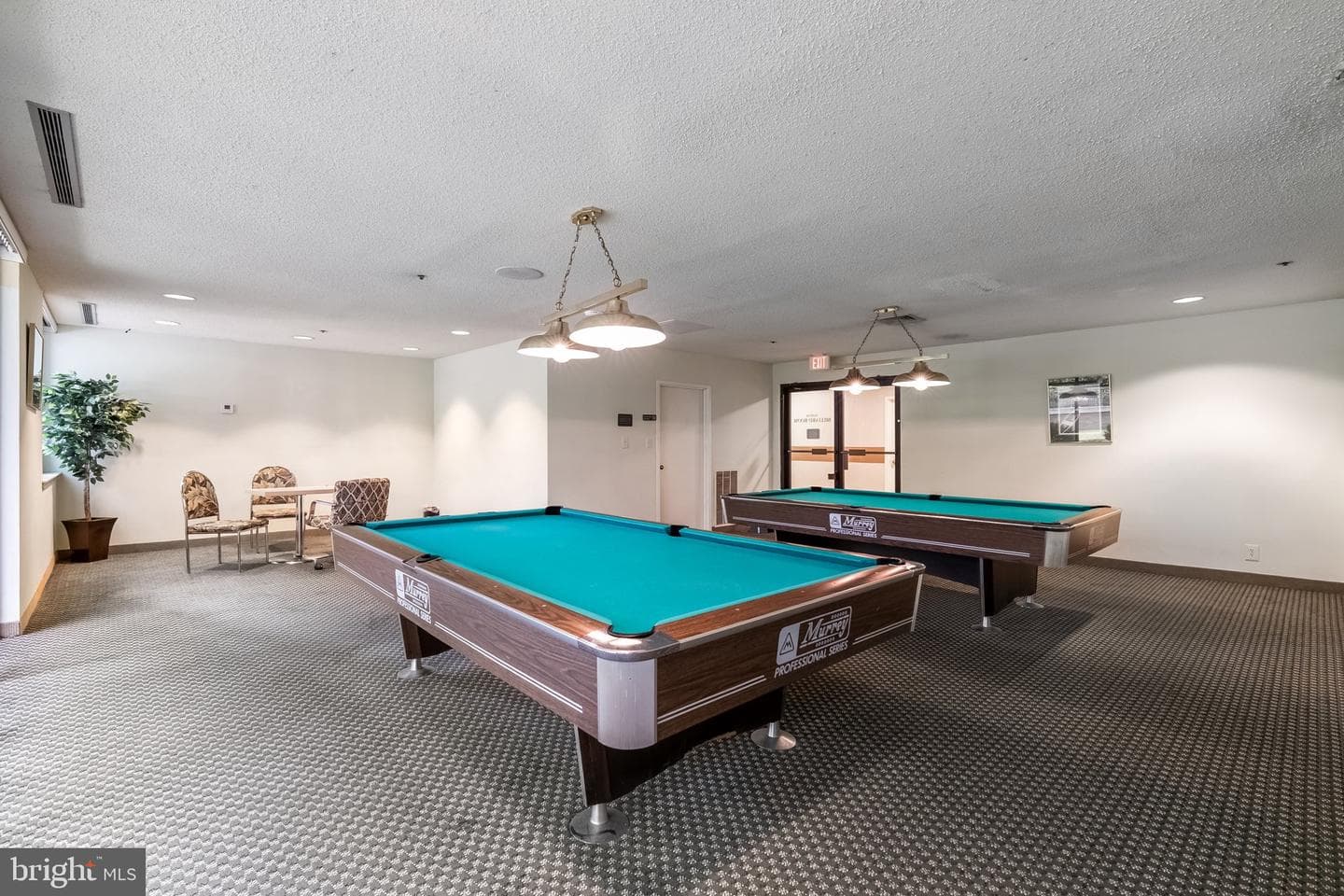 5505 Seminary Road #2015n photo 16