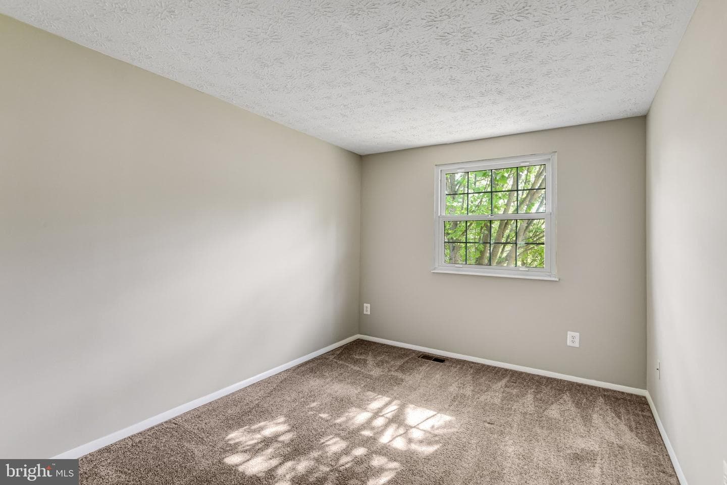 8339 Bark Tree Court photo 19