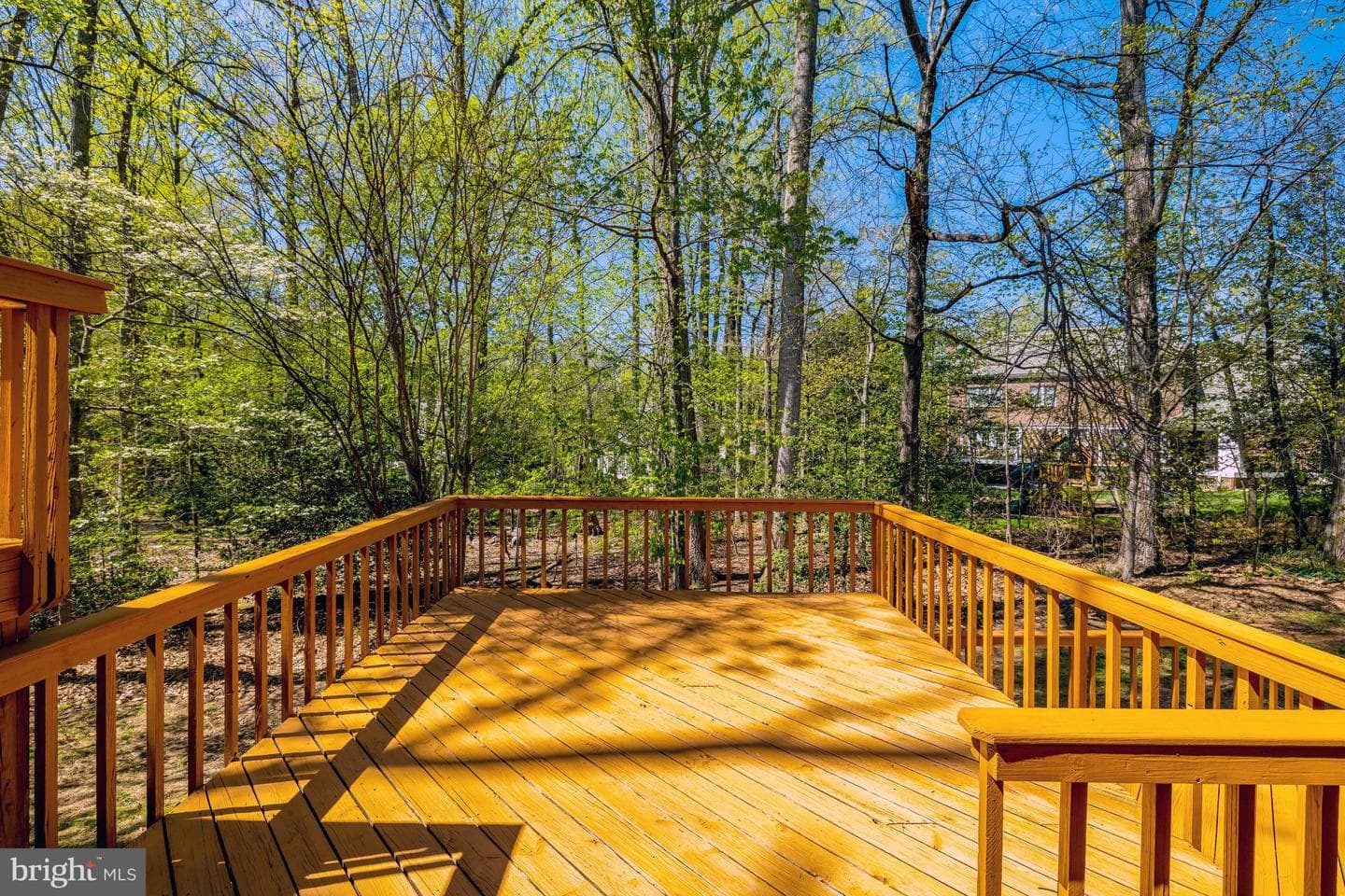 12186 Hickory Knoll Place photo 26