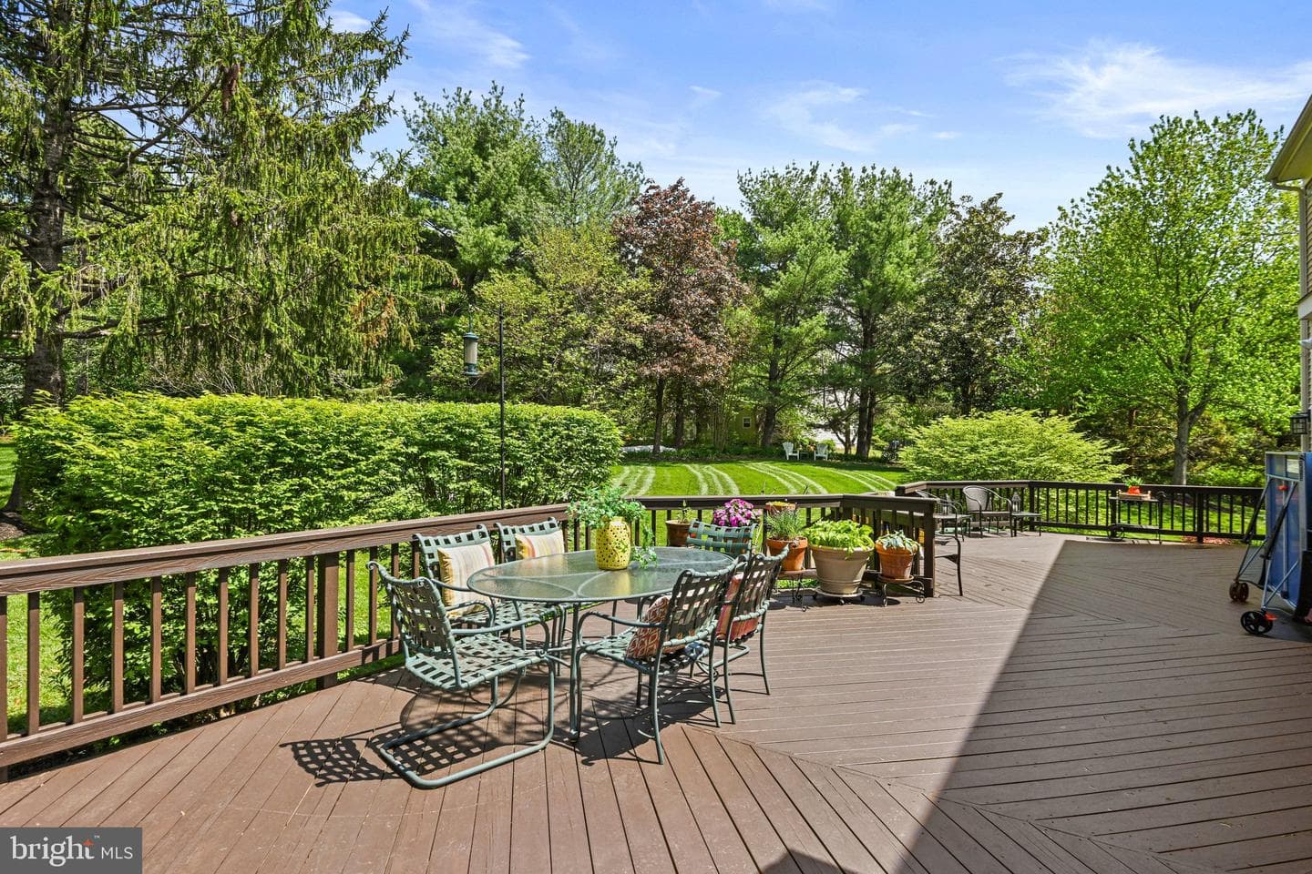1167 Silver Beech Road photo 60