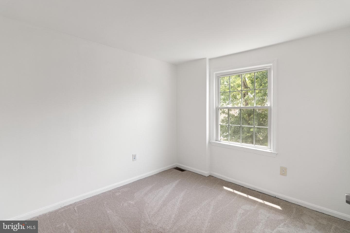 4429 Longworthe Square photo 18