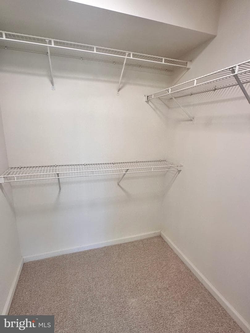 7528 Coxton Court #103 photo 13