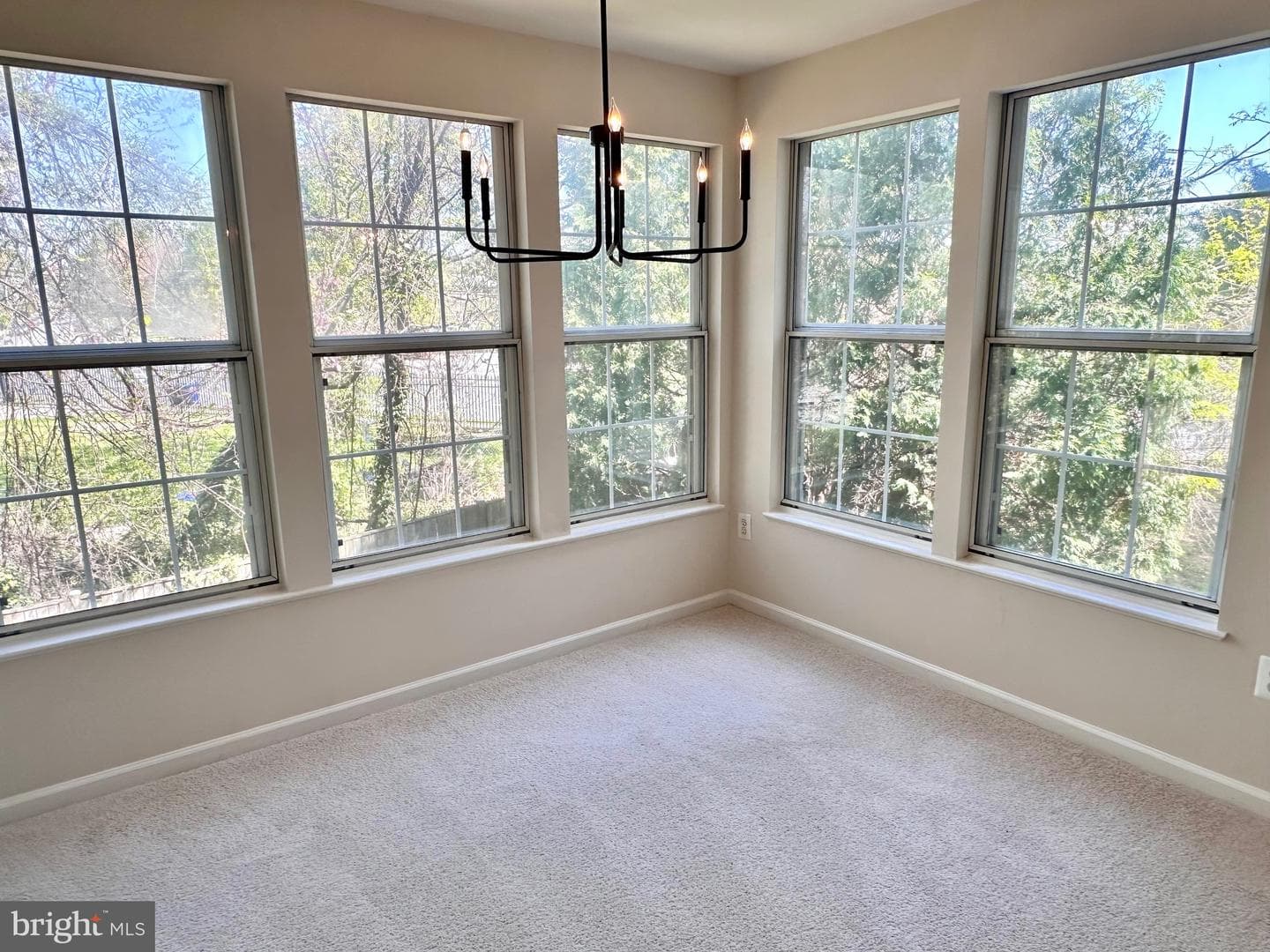 7528 Coxton Court #103 photo 7