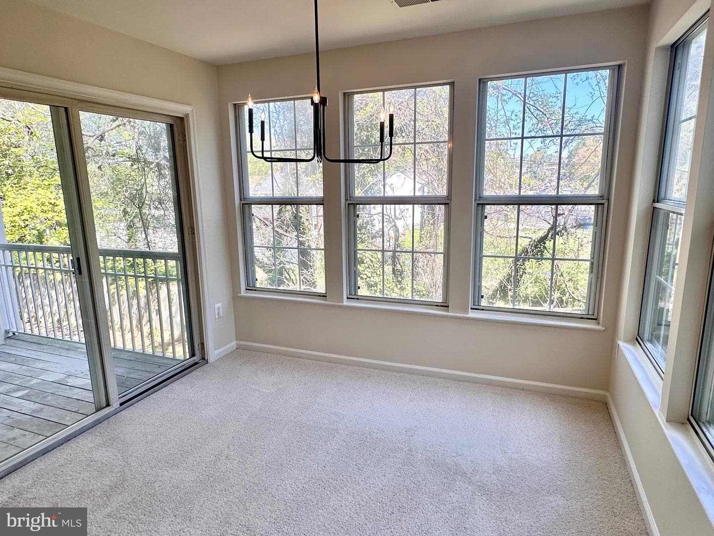 7528 Coxton Court #103 photo 8