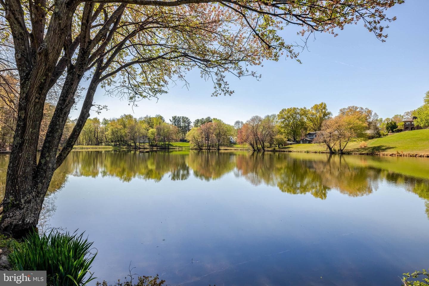 11221 Country Place photo 4