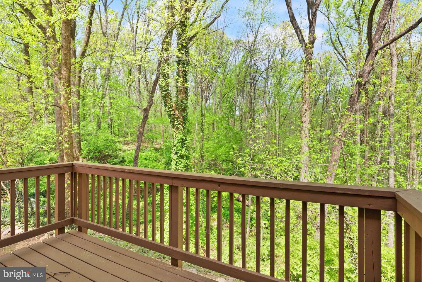 7102 Cynthia Court photo 34