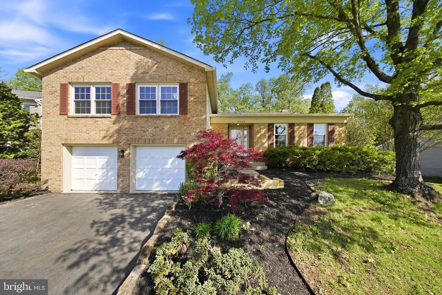 6443 Battle Rock Drive photo 3