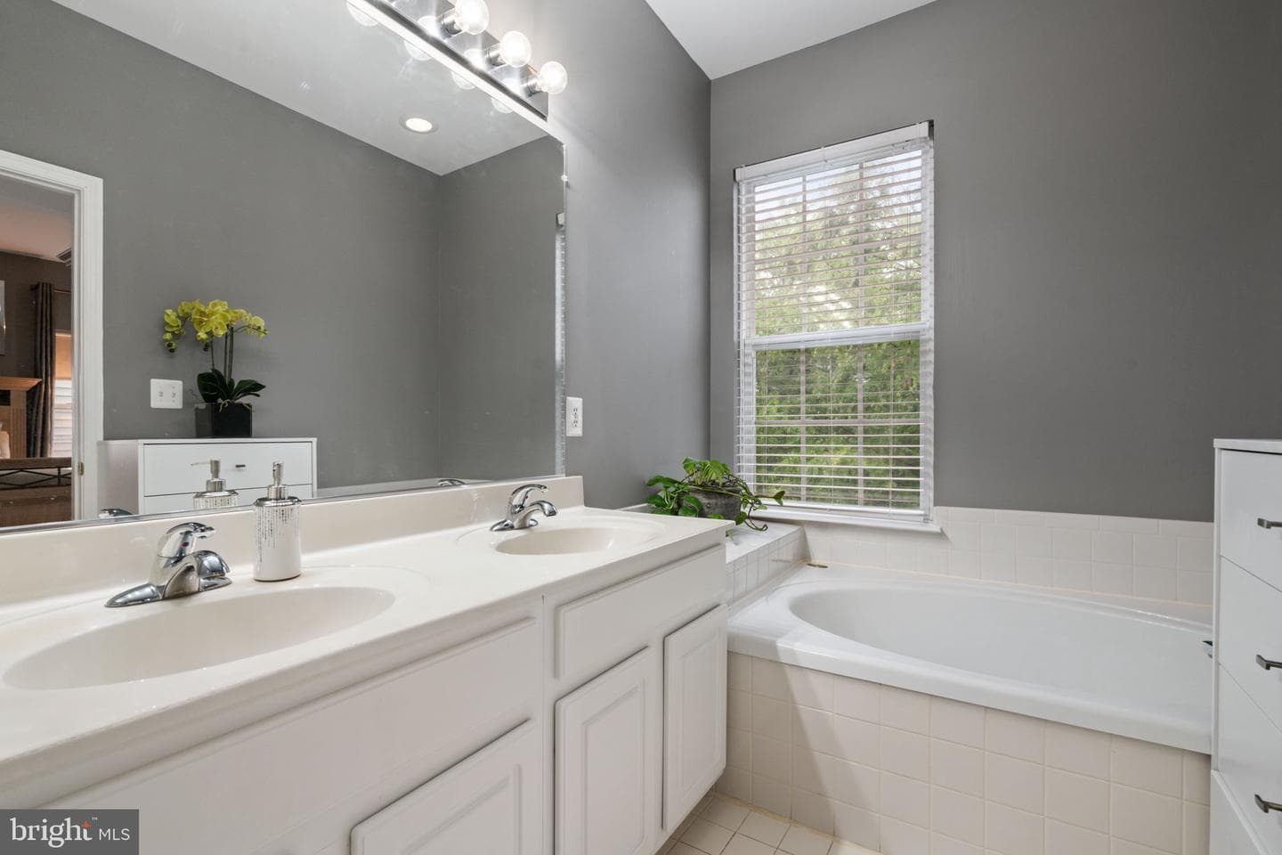 6737 Applemint Lane photo 23
