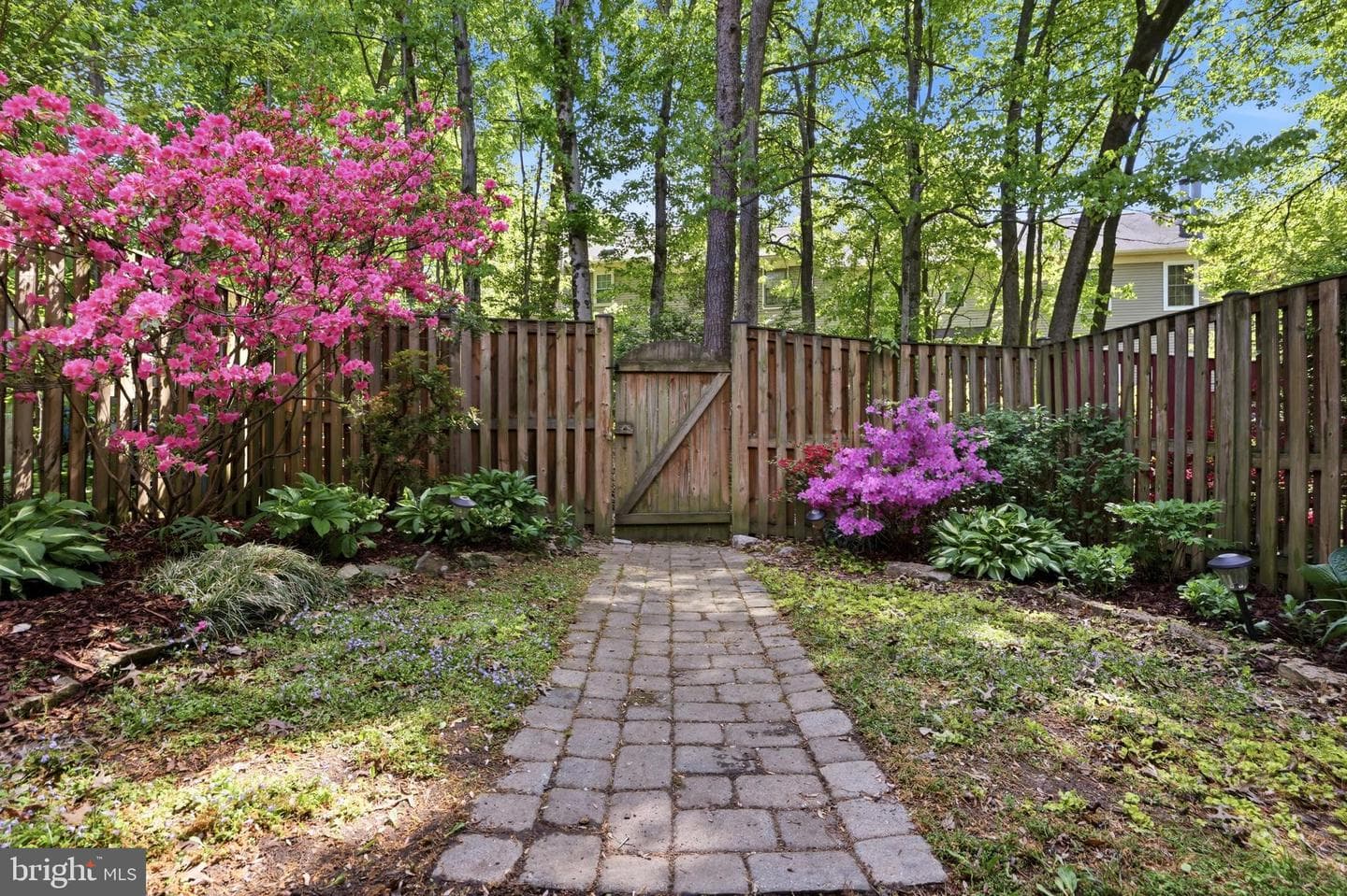 3964 Burning Bush Court photo 56