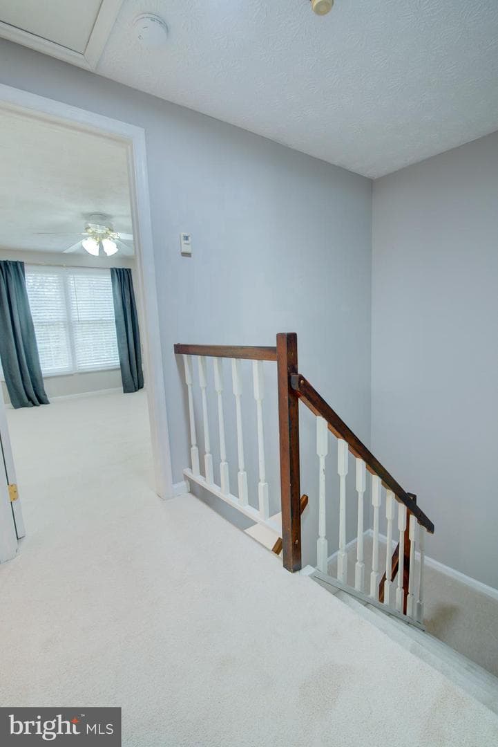 1552 Poplar Grove Drive photo 20