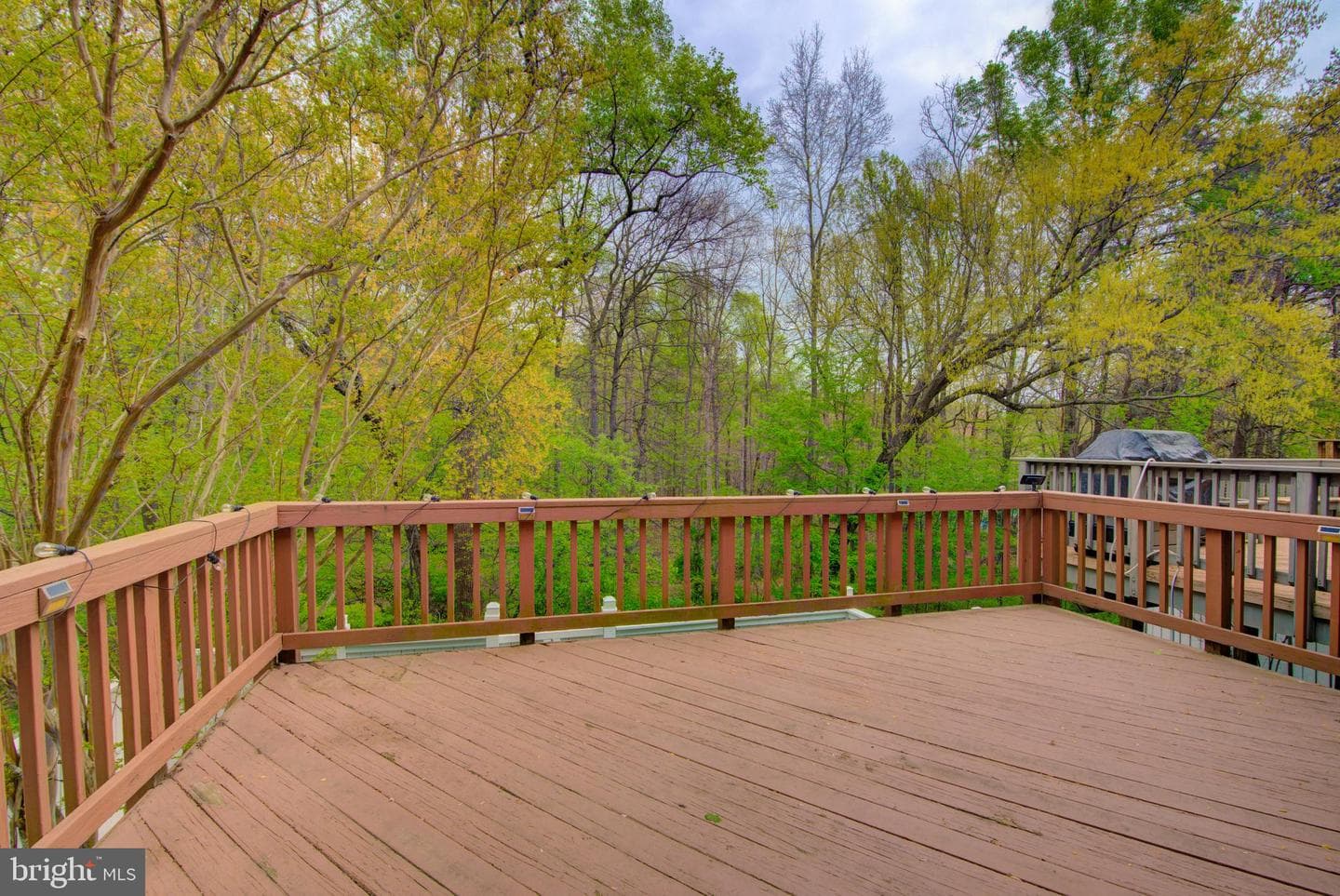 1552 Poplar Grove Drive photo 44