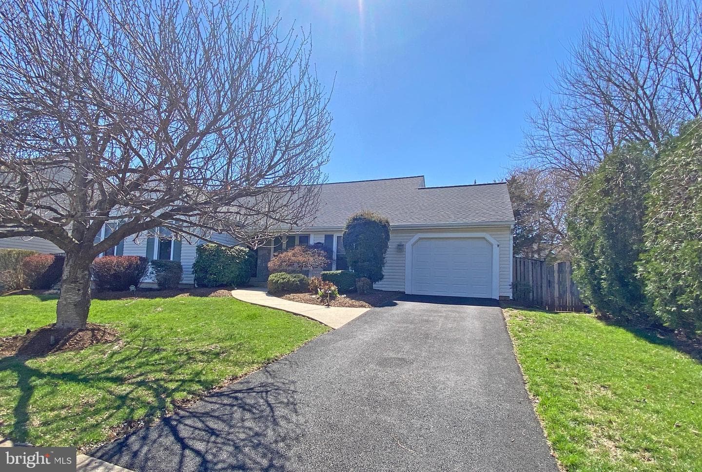 13905 Deviar Drive photo 4